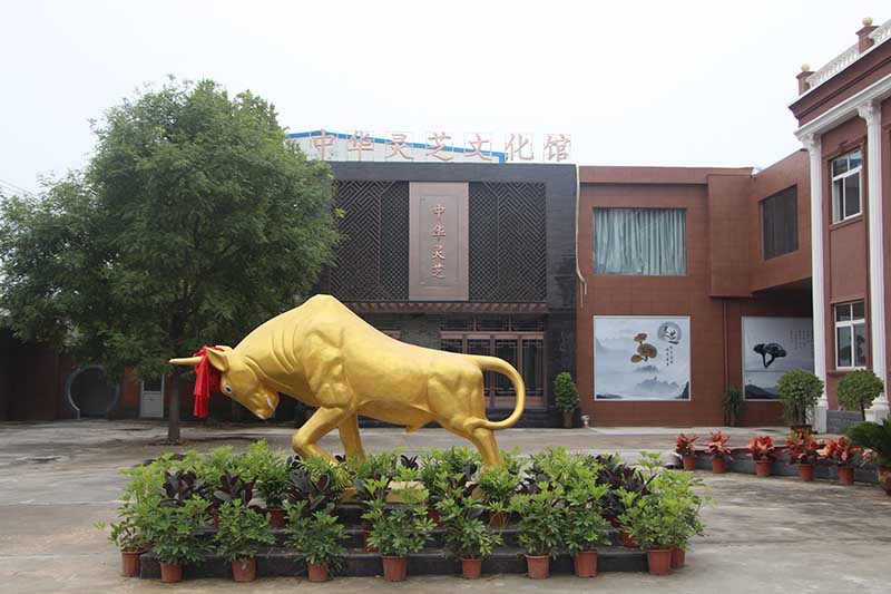 靈芝文化館